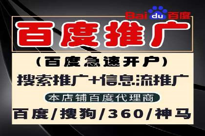 SEM托管服务案例：优化策略与效果展示